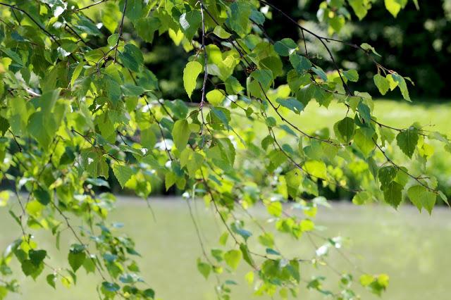 Canon 600d 50mm sample picture Canon 600d 50mm sample picture