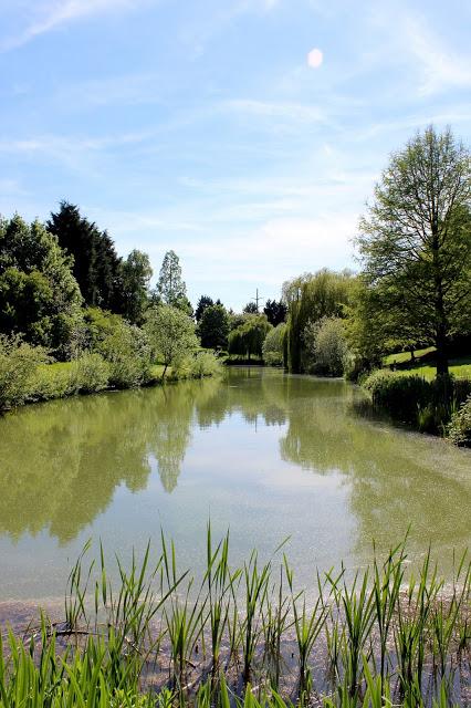 Canon 600d 50mm sample picture Canon 600d 50mm sample picture