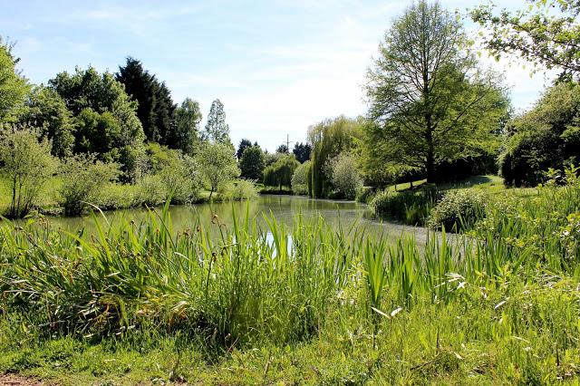 Canon 600d 50mm sample picture Canon 600d 50mm sample picture