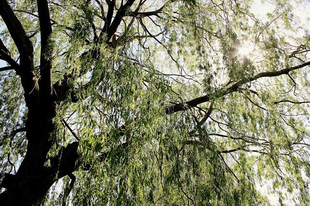 Canon 600d 50mm sample picture Canon 600d 50mm sample picture