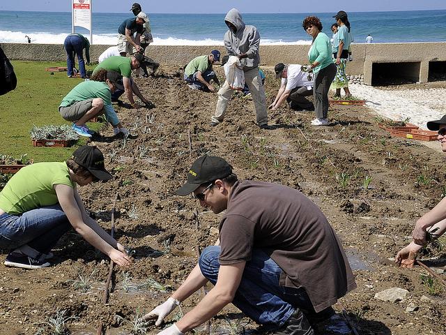 People planting samplings Earth Day 