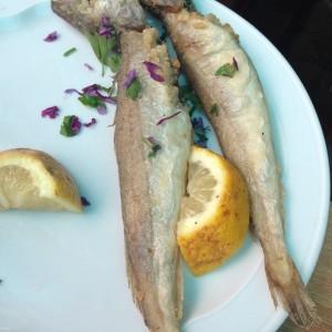 Le_Petit_Marin_Restaurant_Alger_Kouba21