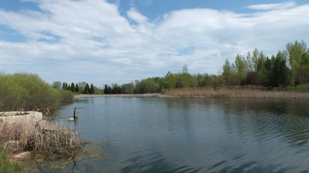 Various turtles we have sighted across Ontario milliken park pond - toronto - ontario