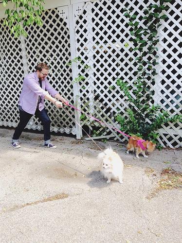 Memorial Day 8870803460_ab1ec9aa48