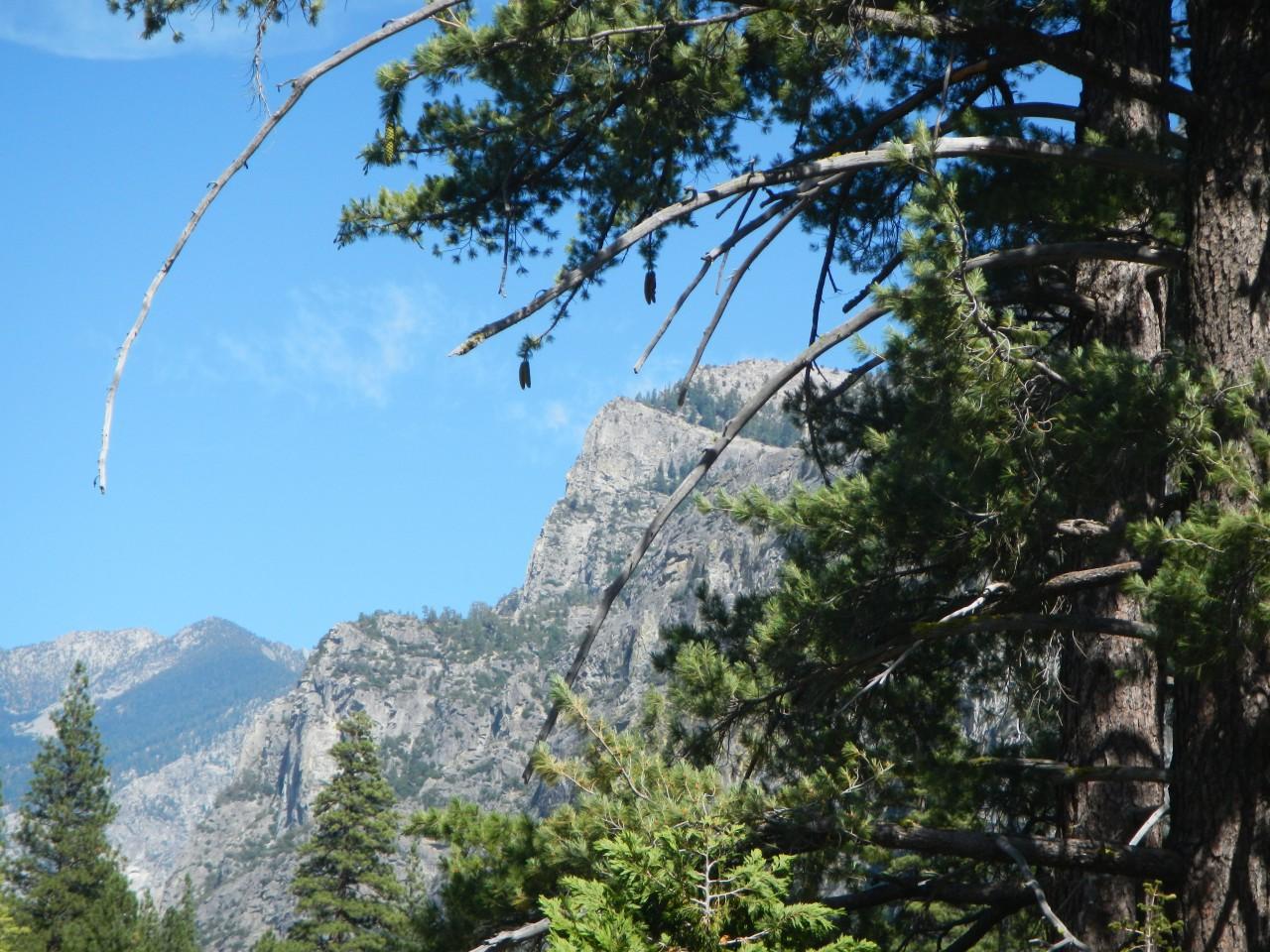 The view of Kings Canyon