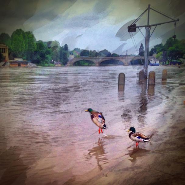 Learning to fly Learning to fly