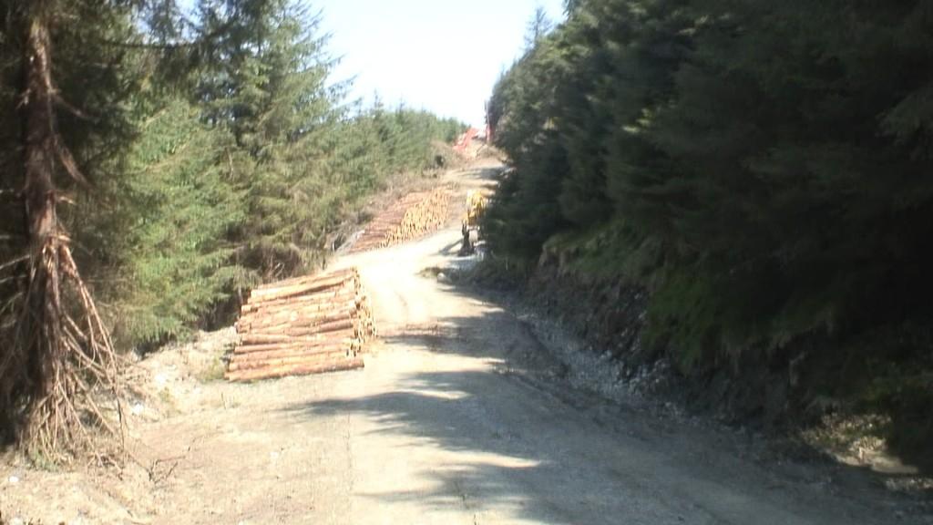 Hiking In Wicklow Mountains National Park – Ireland piles of cut trees - wicklow mountains - ireland