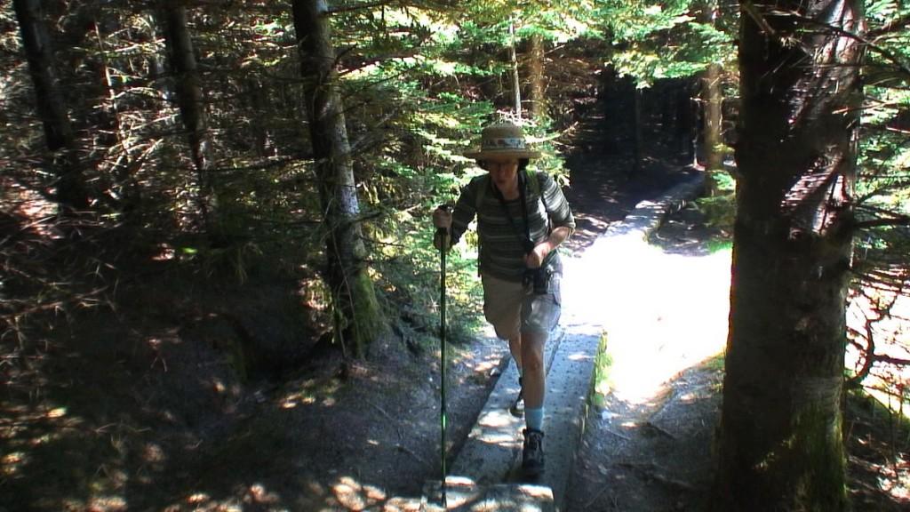 Hiking In Wicklow Mountains National Park – Ireland jean climbs the 600 steps to spinc hiking trail - wicklow mountains national park - ireland