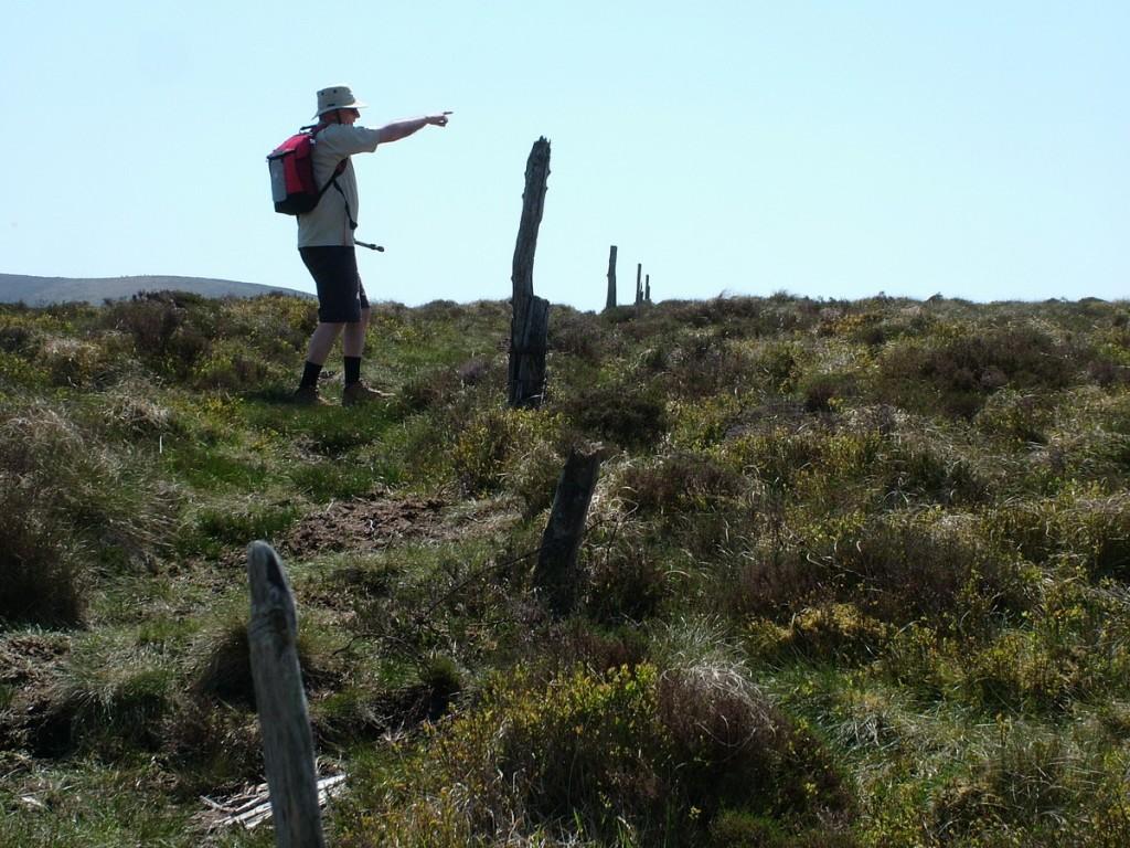 Hiking In Wicklow Mountains National Park – Ireland bob points out a deer in meadow - wicklow mountains national park - ireland