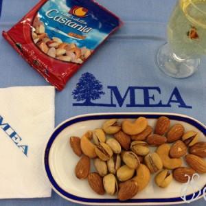 MEA_Middle_East_Airlines_Skyteam_Lebanon22