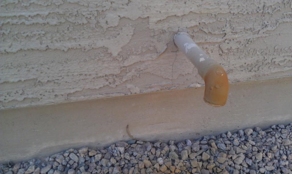 Are termites on the prowl around your home? probestIMAG0444