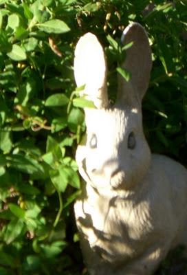 Morning Tea and a Game for Boys Morning Tea and a Game for Boys
