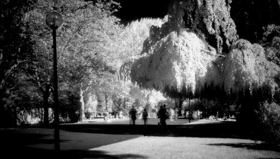 D800 pictures from outer (infrared) space artborghi-infrared-d800-lakezurich-4
