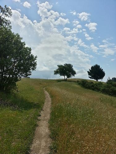 Then and Now: May tilden