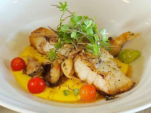 grouper recipe Yellowedge Grouper with Savory Sweet Corn Pudding, Oyster Mushroom Vinaigrette & Petite Greens