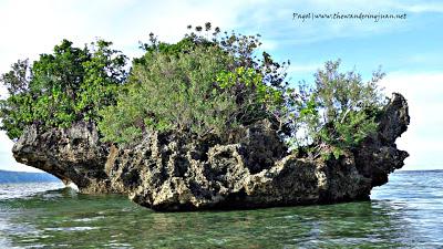 A Visit to Sorsogon: The Rock Formations of Sawanga