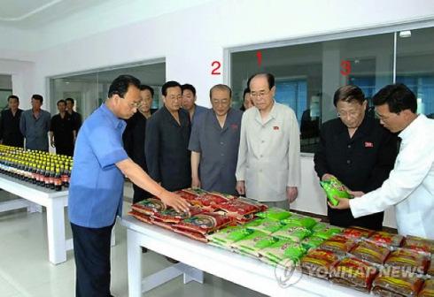 SPA Presidium President Kim Yong Nam (1), the DPRK's head of state, is briefed about food production touring a visit by senior DPRK officials.  Also seen in attendance is SPA Presidium Vice President Yang Hyong Sop (2) and DPRK Vice Premier Kang Sok Ju (3) (Photo: KCNA-Yonhap).