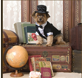 Best Places to Work contest Screen shot 2013-04-29 at 6.56.37 PM