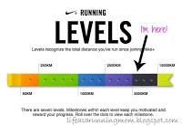 Nike+: A Product Review