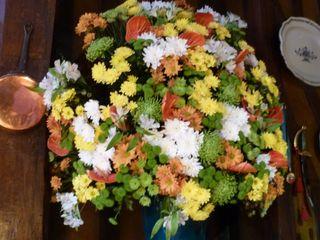 June July 2013 037 June July 2013 037