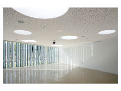 A10_ 09_011 CEAM__Mariela Apollonio 2011 Ramon Esteve Estudio won the “A+ Prize for the Best Healthcare Architecture Project”