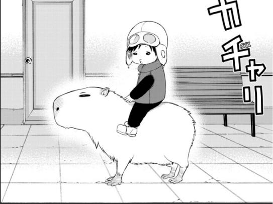 World Trigger 19 World Trigger 19