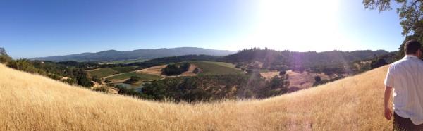 Nook-And-Sea-Blog-Napa-Valley-Panoramic-View-iPhone-Photo-Sky-Clear