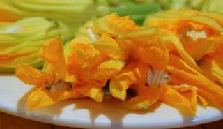 Cannelloni-Style Baked Squash Blossoms