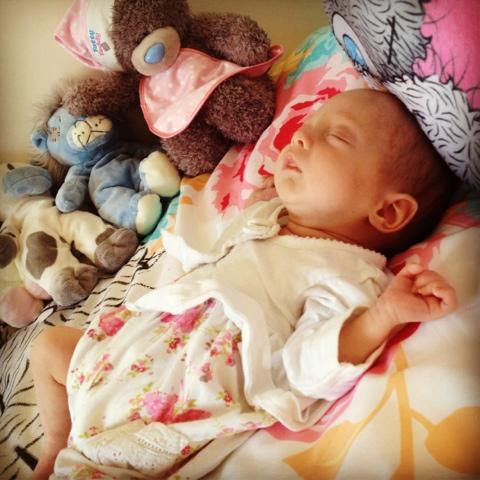 Day 187 of The 365 Project - Sleeping beauty Day 187 of The 365 Project - Sleeping beauty