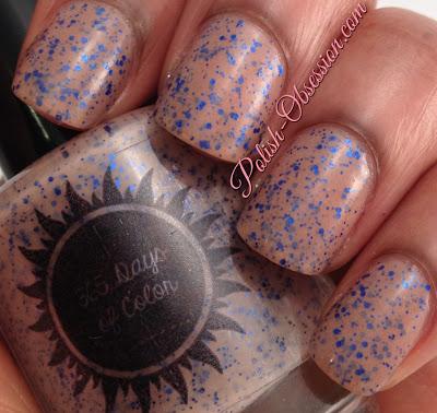 365 Days of Color - Vagabond 365 Days of Color - Vagabond