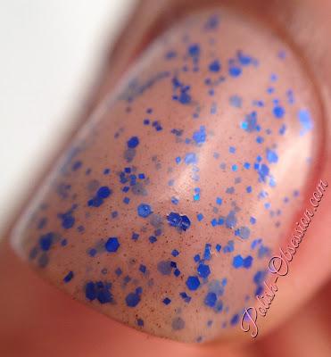 365 Days of Color - Vagabond 365 Days of Color - Vagabond