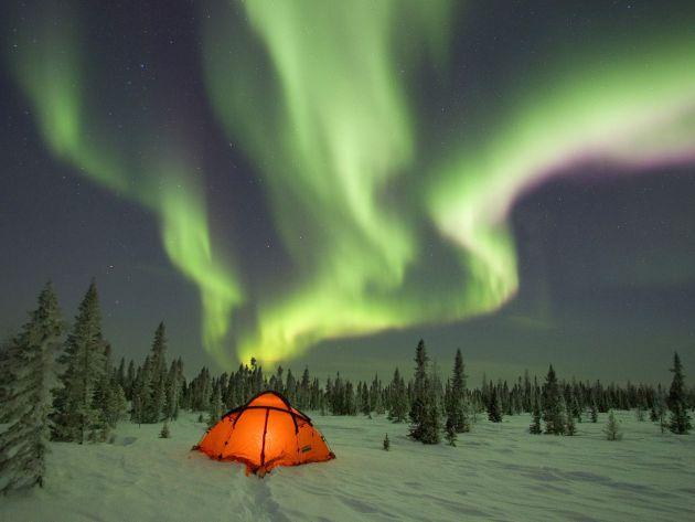 Northern Lights over orange tent