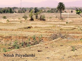 Impact of climate change on livelihood of the community in Pakur district, India.