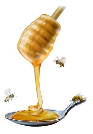honey-dripper1.2
