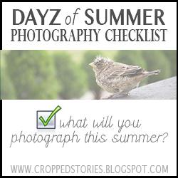 DAYS OF SUMMER PHOTOGRAPHY CHECKLIST BUTTON
