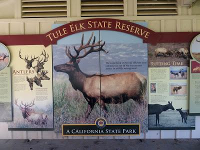 TULE ELK RESERVE:  Preserving California's Wildlife