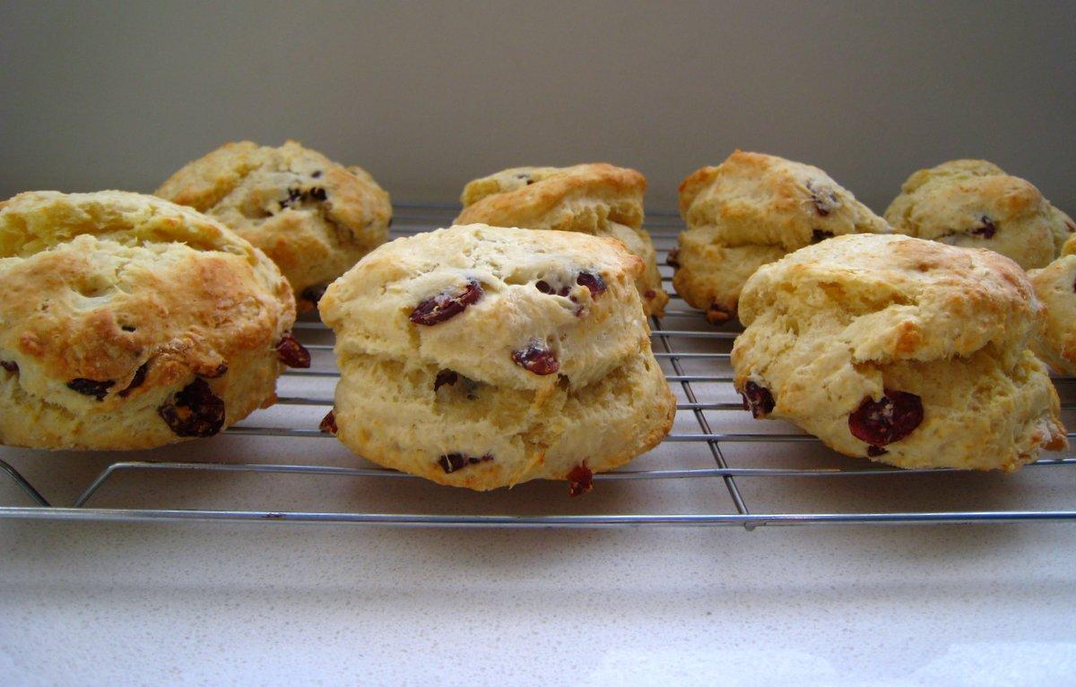 Back to Basics - Cranberry Tea Scones Back to Basics - Cranberry Tea Scones