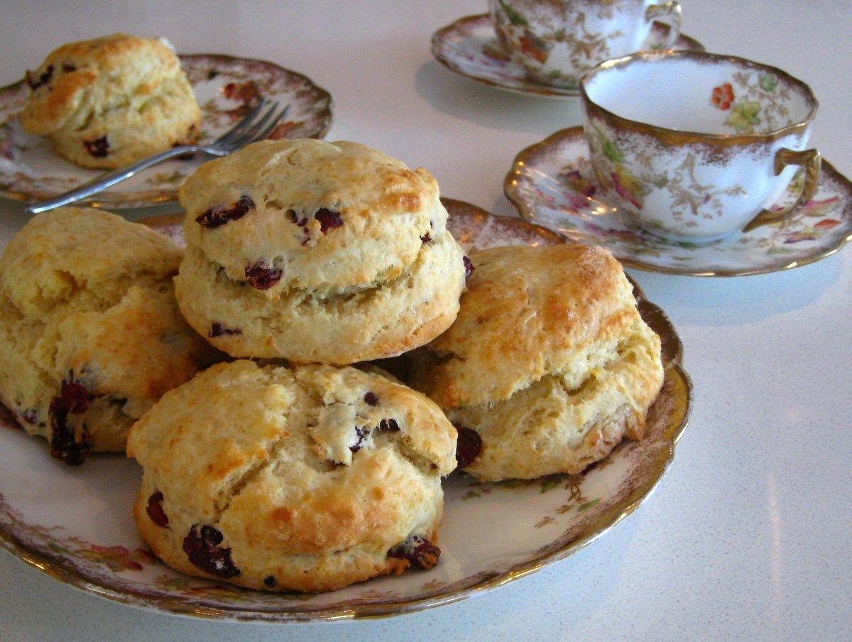 Back to Basics - Cranberry Tea Scones Back to Basics - Cranberry Tea Scones
