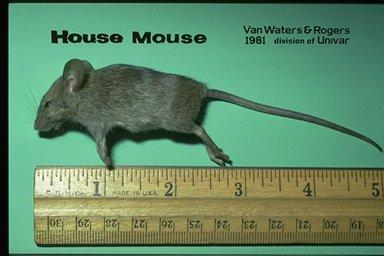 Some people are just amazing, aren’t they? VR01_10