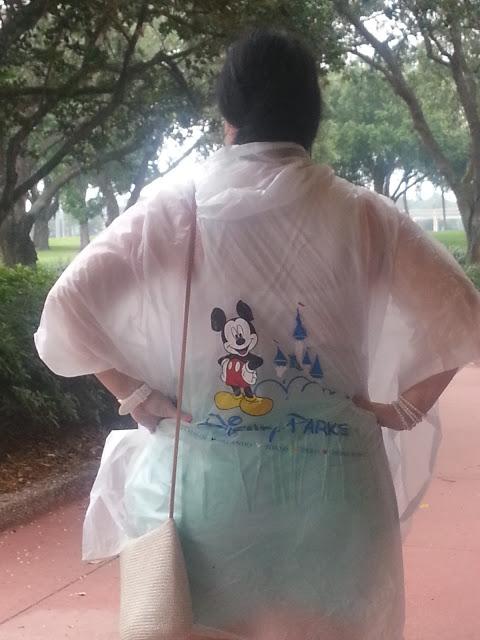 My Mickey Mouse Holiday! My Mickey Mouse Holiday!