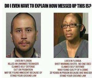 The verdict is in…. trayvon martin, george zimmerman, florida murder case, stand your ground law, no justic for trayvon, double standard, racism, fired warning shots, the reporter and the girl