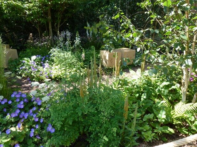 woodland planting in this garden at Hampton Court Show