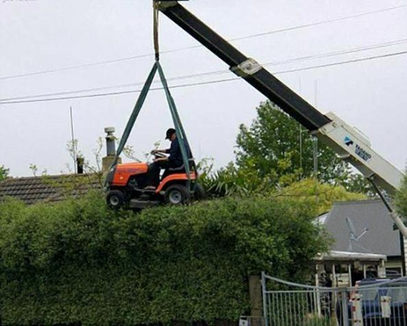 mowing the hedges