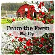 Cheap Organization From The Farm Blog Hop