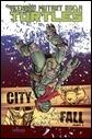 Teenage Mutant Ninja Turtles, Vol. 6: City Fall, Part 1