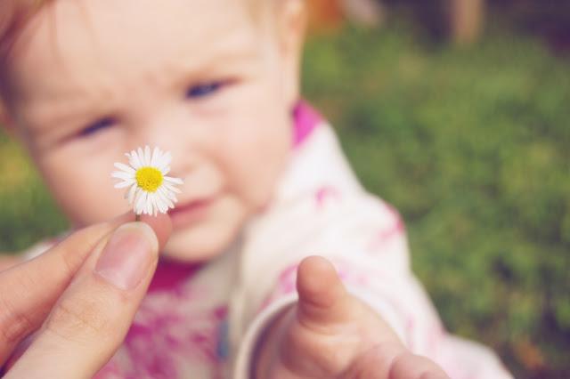 Summertime & Birthday Time! Summertime & Birthday Time!