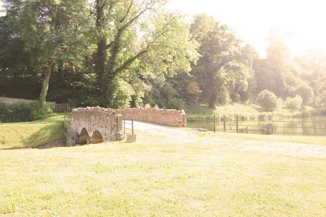 Summertime & Birthday Time! Summertime & Birthday Time!