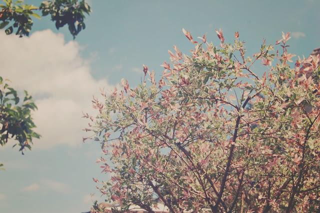 Summertime & Birthday Time! Summertime & Birthday Time!