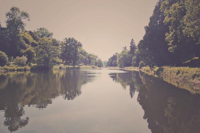 Summertime & Birthday Time! Summertime & Birthday Time!