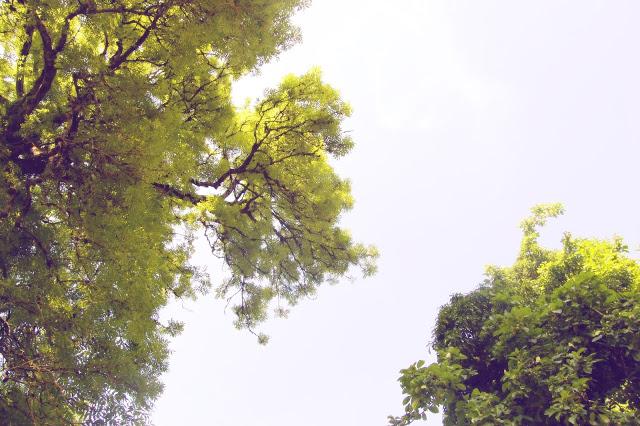 Summertime & Birthday Time! Summertime & Birthday Time!